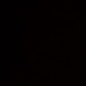 Meet your Posher, Lillian